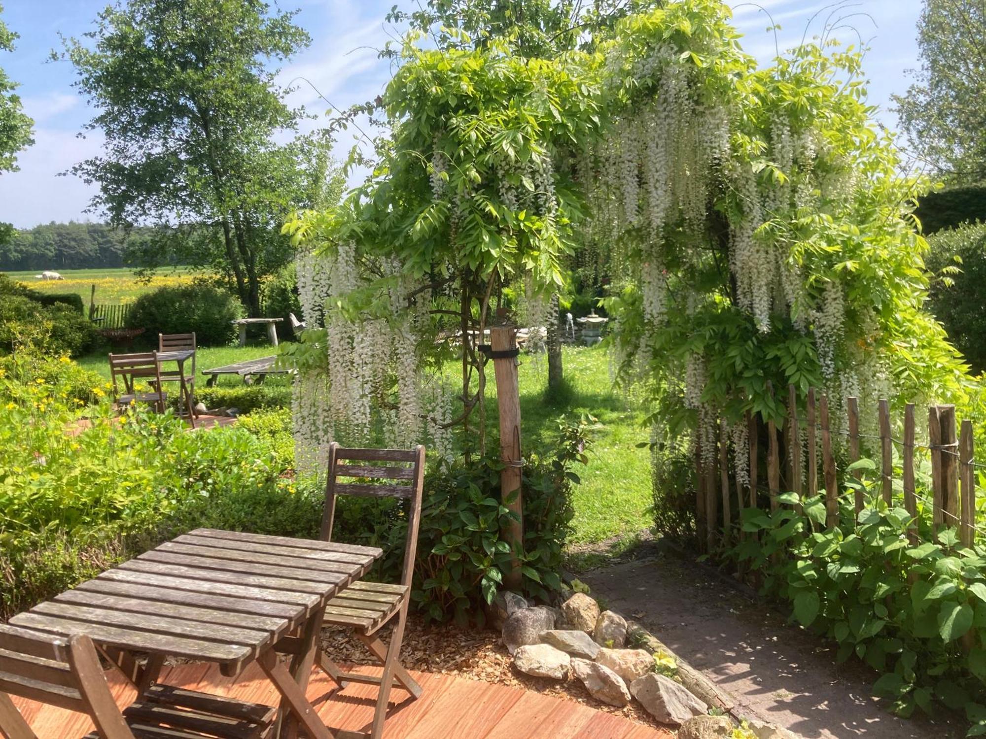 B&B Koornemoezen Зеделхем Екстериор снимка